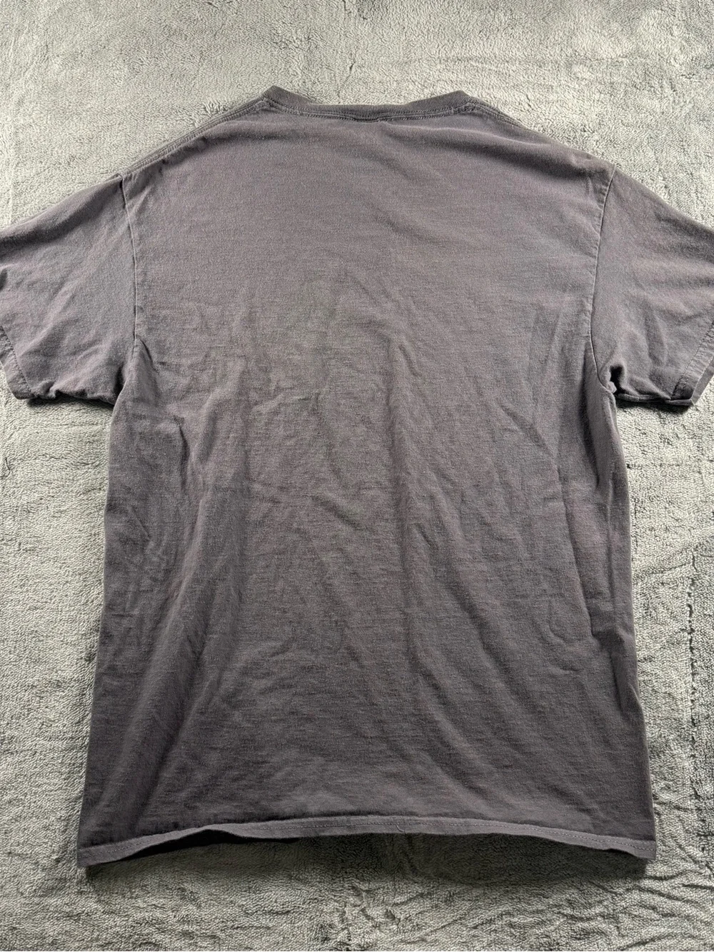 Fruit of The Loom Look Im A Hooman Dur Dur Dur Cat Graphic Gray Women’s Size M